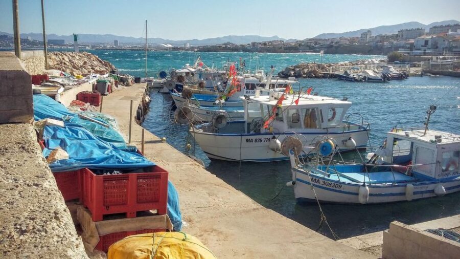 Marseille and Calanques ebike tour full day - Calanques National Park: trails, story time, and a real beach break