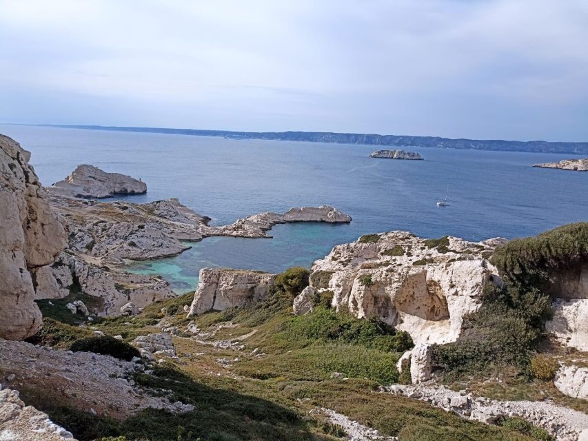 Marseille: Catamaran cruise to discover Frioul Islands - Key points at a glance