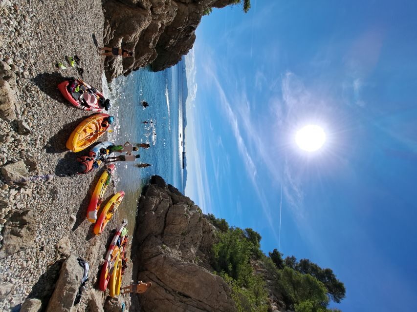 Marseille: Côte Bleue Calanques Half-Day Kayak Tour - Coast Views From the Water: What Makes This Better Than a Shore Walk