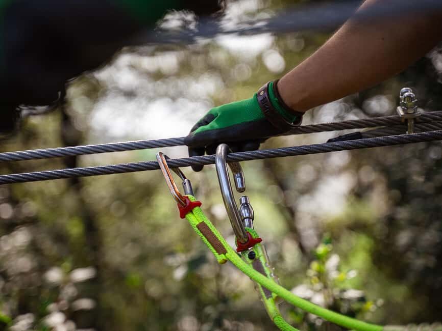 Marseille: Ecopark Adventures Treetop Adventure - Key highlights at a glance