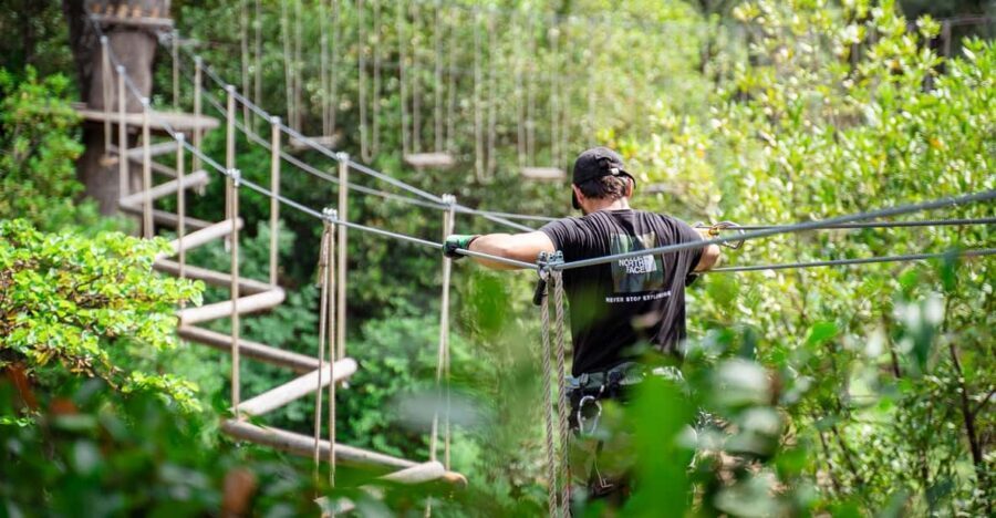 Marseille: Ecopark Adventures Treetop Adventure - 150 workshops and 10 courses: how to choose what you’ll do