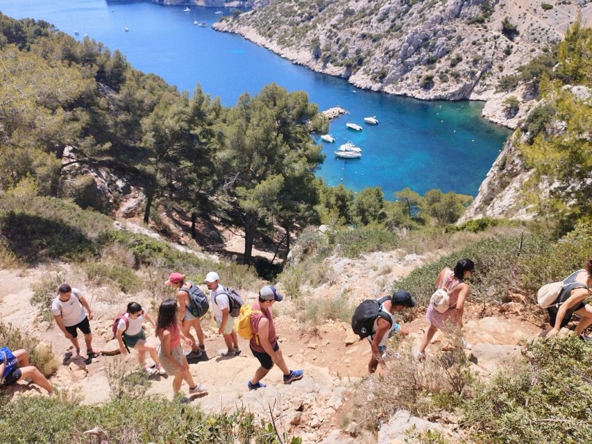 Marseille: Guided Hiking Calanques National Park from Luminy - The Picnic Break: Local Foods, Beach-Time Reset