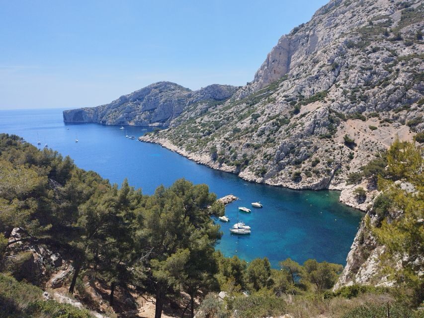 Marseille: Guided Hiking Calanques National Park from Luminy - Walking the Calanques: What the Guided Route Really Adds