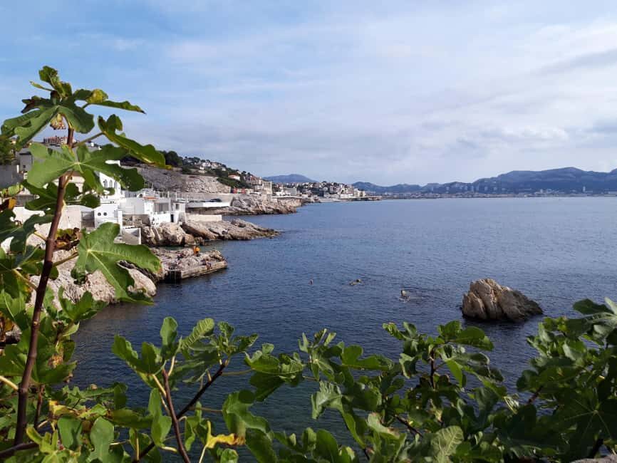 Marseille: Hidden Coves Exploration & Treasure Hunt - Who this tour is best for (and who might want a different plan)