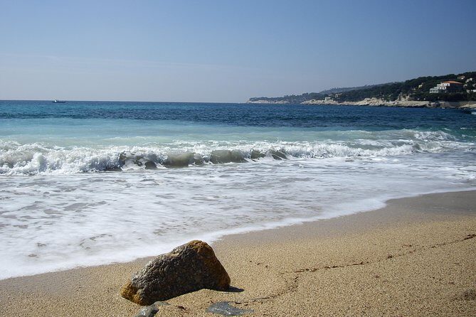 Marseille Highlights & Wine Tasting Day Tour from Marseille - Value check: what $202.84 buys you, and what you still pay for
