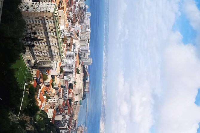 Marseille Shore Excursion: City Sightseeing Tour of Marseille - What to bring and how to plan your shore day around the tour