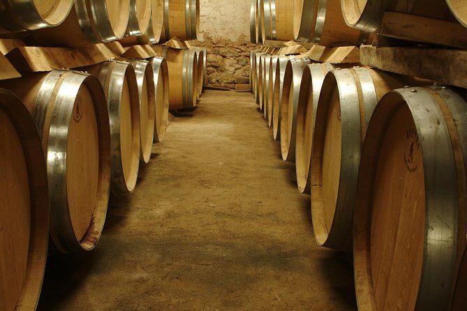 Marseille Shore Excursion - Full Day Wine Tour in Provence - Key Things I’d Bookmark Before You Go