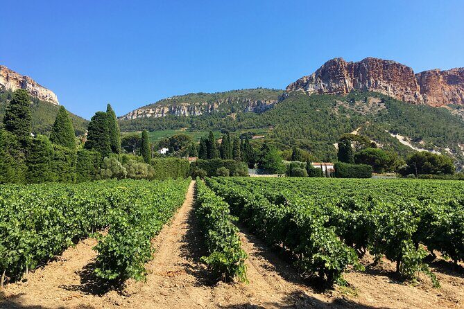Marseille Shore Excursion - Full Day Wine Tour in Provence - Small Group Size and an A/C Van That Actually Helps