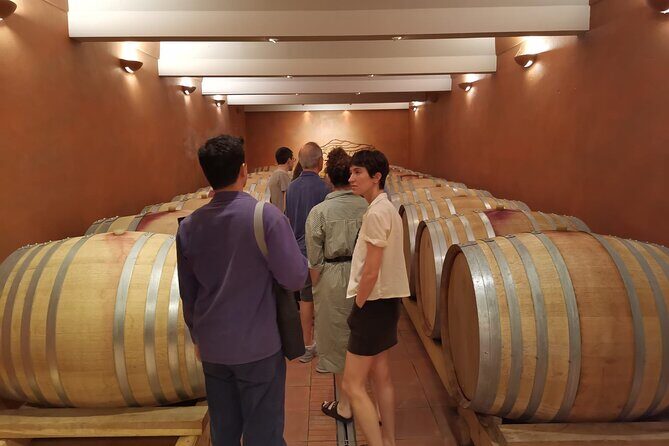 Marseille Shore Excursion - Full Day Wine Tour in Provence - Your 2-Hour Town Break: Cassis, Lourmarin, or Aix-en-Provence