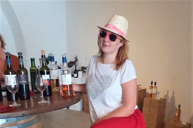 Marseille Shore Excursion - Full Day Wine Tour in Provence - Timing, Meeting Point, and How Not to Stress at the Pier