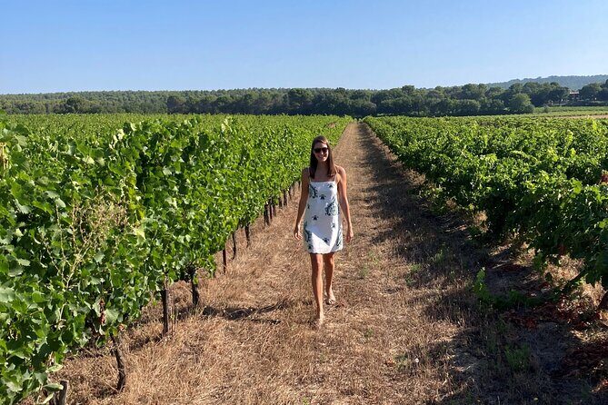 Marseille Shore Excursion - Full Day Wine Tour in Provence - Who This Wine Tour Is Best For