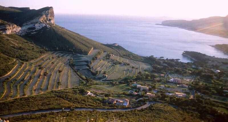 Marseille Vieux Port & Wine Tasting - Private Tour - Cassis calanques: the scenic drive, the steep coastline, and dock time