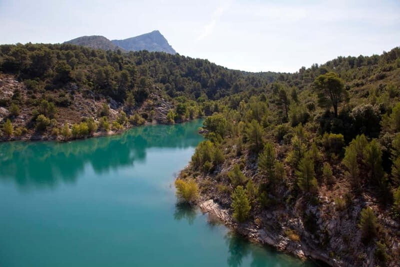 Marseille Vieux Port & Wine Tasting - Private Tour - Le Castellet: the medieval hilltop pause that breaks up the driving