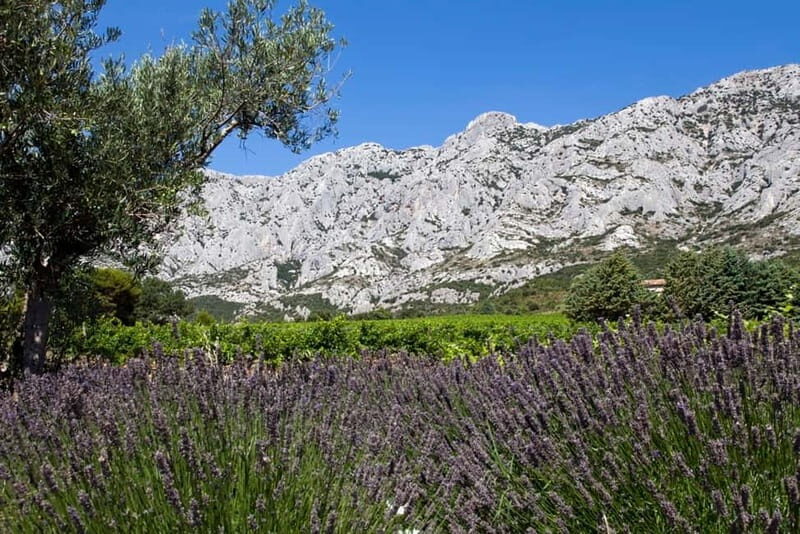 Marseille Vieux Port & Wine Tasting - Private Tour - The Baux de Provence quarry art and Collobrières menhirs: when the route adds the offbeat stops