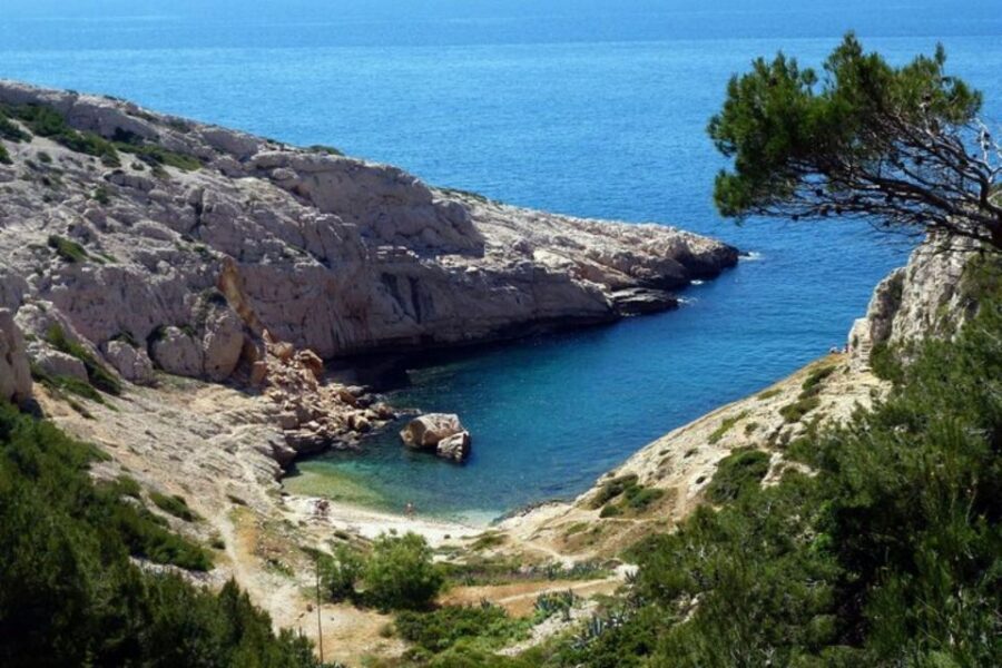 Marseilles: Private Custom Tour with a Local Guide - Price and value: what $53 per person is buying