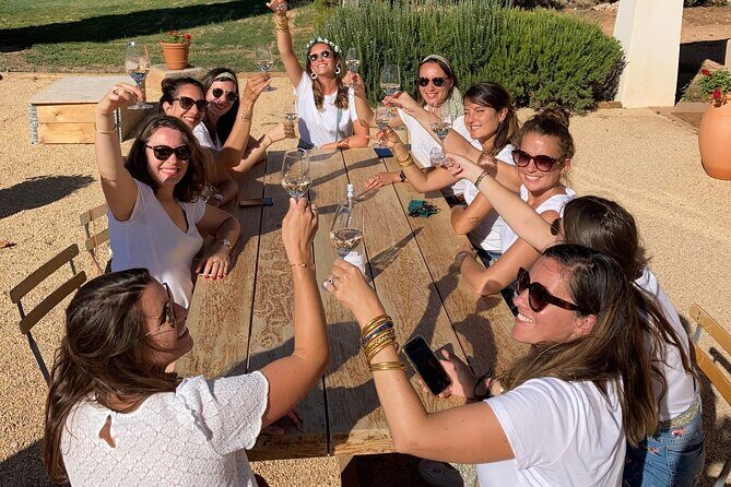 Private Full Day Wine Tour in Provence From Marseille cruise port - Two Wineries, Real Winemaking, and Tasting Tips for Rosé, Red, and White