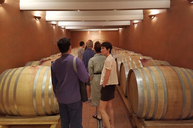 Private Full Day Wine Tour in Provence From Marseille cruise port - Transportation, Comfort, and the Cruise-Return Guarantee