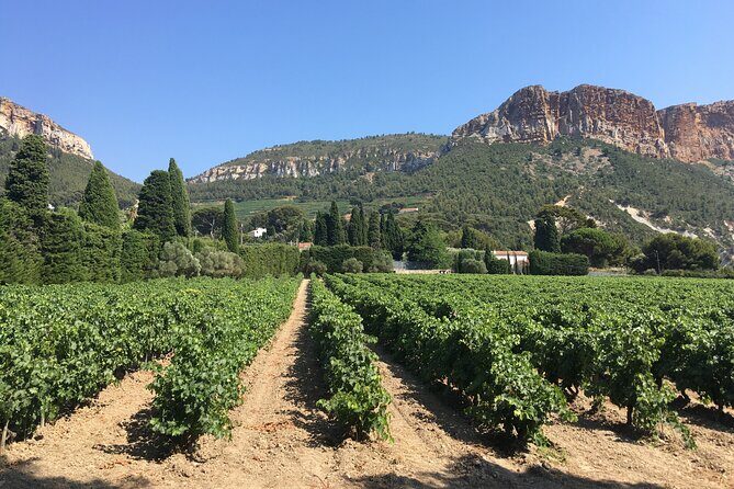 Private Full Day Wine Tour in Provence From Marseille cruise port - Price and Value: What $480.56 per Person Really Buys