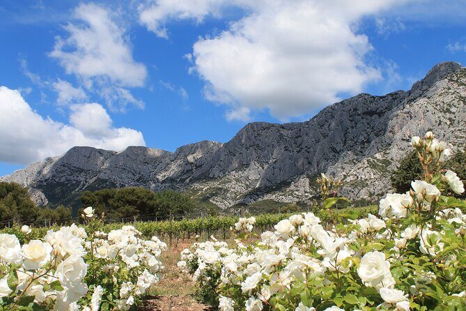 Private Full Day Wine Tour in Provence From Marseille cruise port - Meet Your Guide and Settle In: A/C Minivan, Small Group, Tight Timing