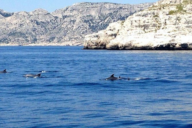 Sailing day in the heart of the Calanques - Calanques Views Between Marseille and Cassis: Why the Meal Matters