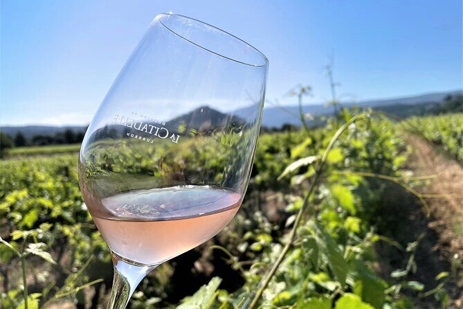 Short Day Tour around Aix en Provence and Wine Tasting - Group size and guide energy: what makes this feel personal