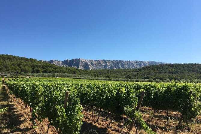 Short Day Tour around Aix en Provence and Wine Tasting - Aix-en-Provence for 1.5 hours: lunch strategy and market-proof strolling