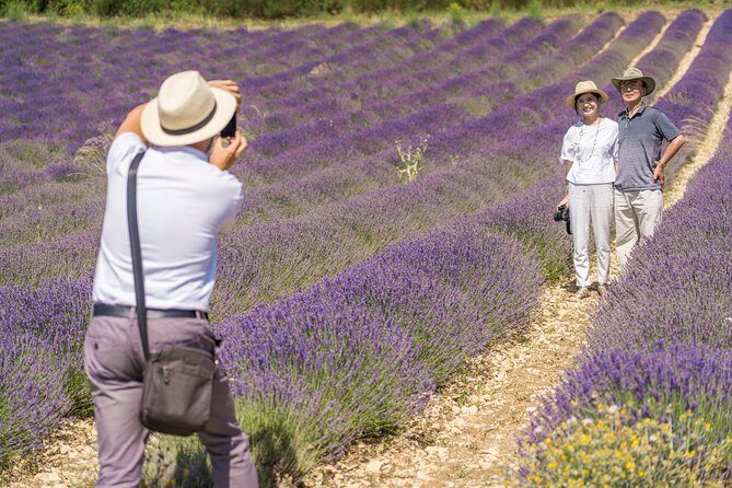 Small Group Marseille Shore Excursion: Lavender Tour - Small-Group Minivan Comfort (And Why It Matters)