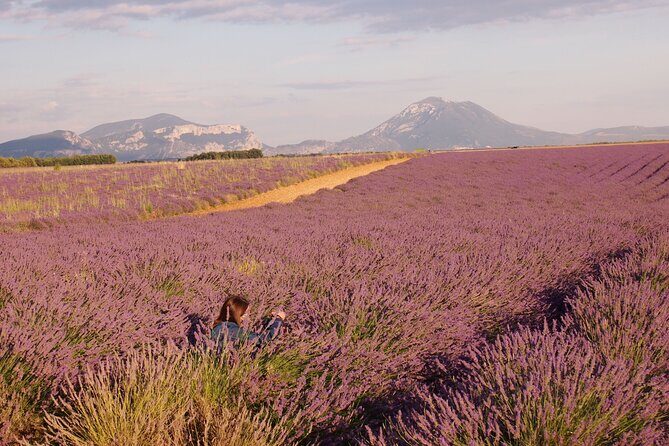 Sunset Lavender Tour in Valensole with pickup from Marseille - Sunset Lavender in Valensole: why the late start matters