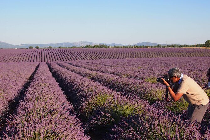 Sunset Lavender Tour in Valensole with pickup from Marseille - What to pack so your sunset photos actually work