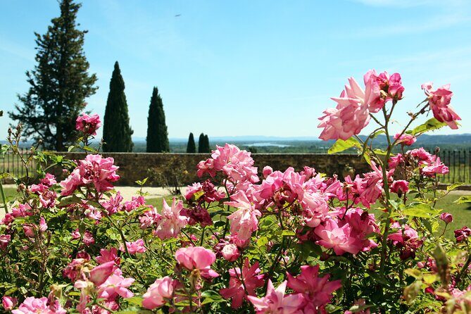 Two intensive days discover exceptional wines of the Rhône valley - Pickup, comfort, and the 9:00 am start
