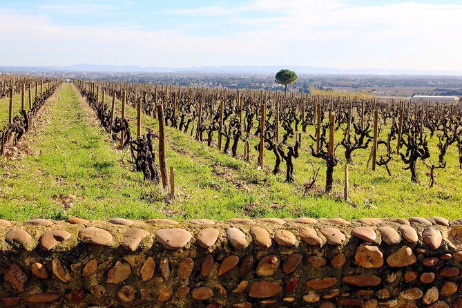 Two intensive days discover exceptional wines of the Rhône valley - Lirac and its rosé connection via Tavel