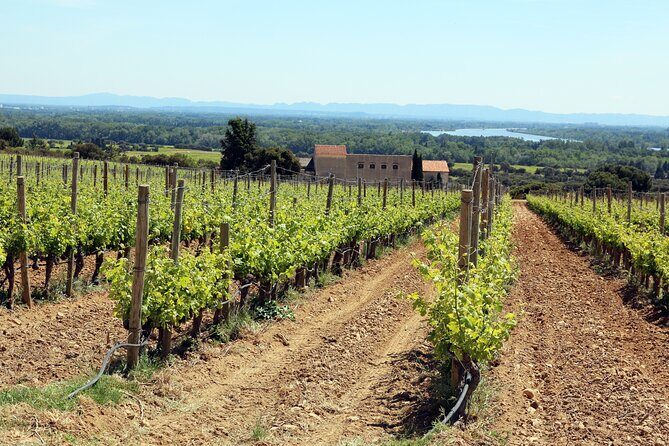 Two intensive days discover exceptional wines of the Rhône valley - Châteauneuf-du-Pape: where the story starts