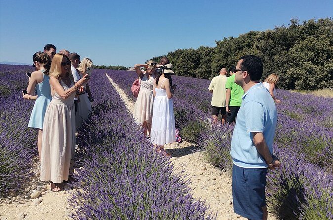 Vehicle with Driver in Provence - Smooth Driving Matters More Than You Think